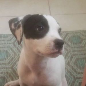 Meet your Posher, Colton